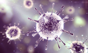 Microbes