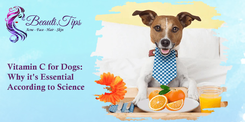 Vitamin C for Dogs
