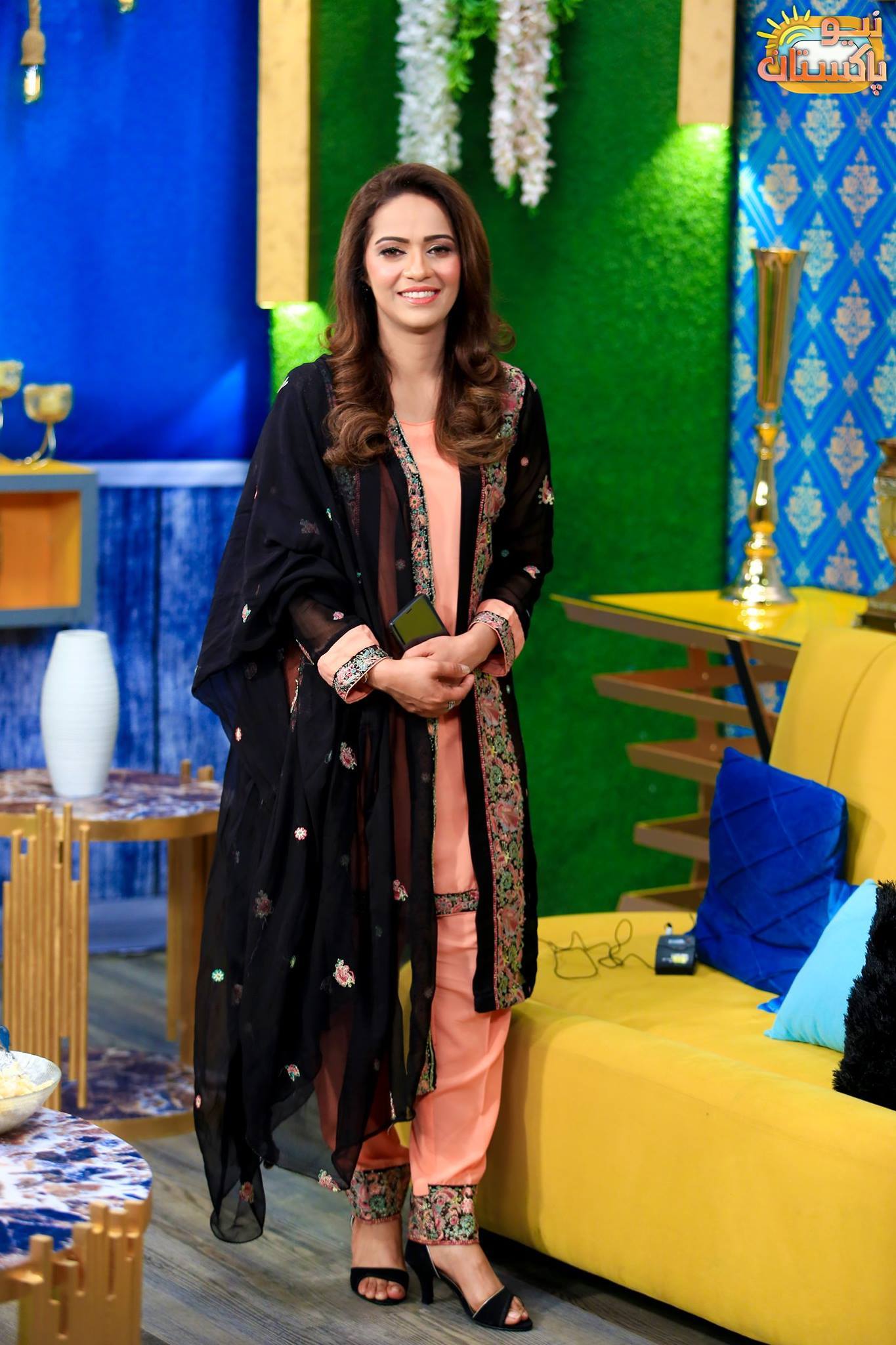 Ayesha Bakhsh Career