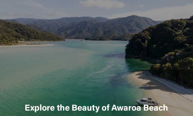 Explore the Beauty of Awaroa Beach
