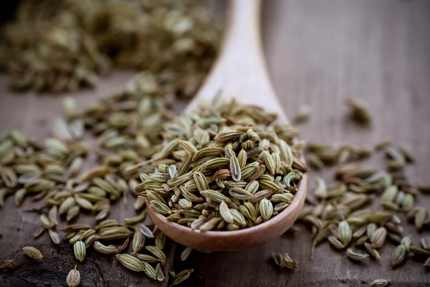 fennel dosage