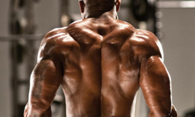 HOW TO BUILD A MASSIVE BACK Gym Work out