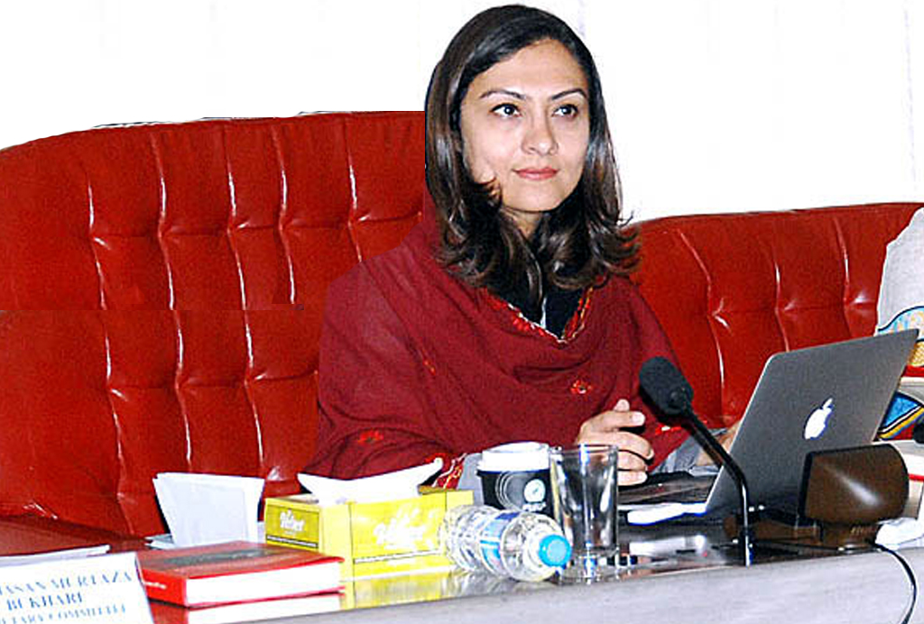 Marvi Memon’s Professional Career