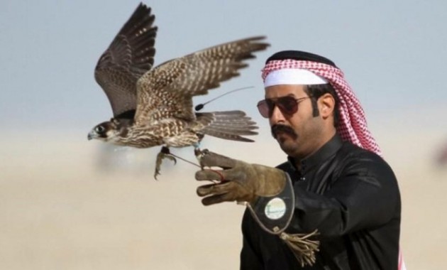uae-royal-family-allows-sword-hunt-in-pakistan