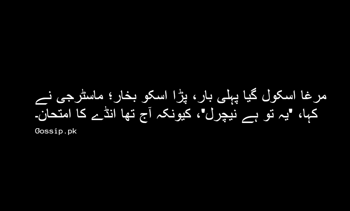 Best Funny Poetry